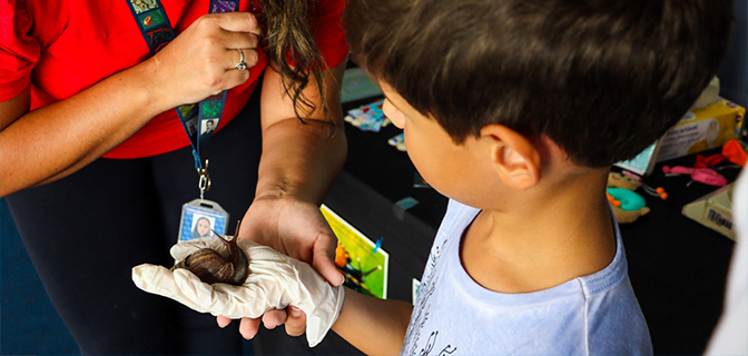 Confira destaques da programação nacional da 20a Semana Nacional de Ciência e Tecnologia na Fiocruz