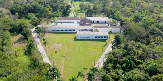 Fiocruz Mata Atlântica reutiliza resíduos como enfeites de natal