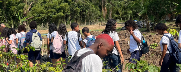 FMA promove imersão no bioma Mata Atlântica